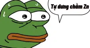 cham zn la gi