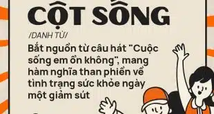 cot song trong tu dien gen z