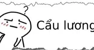 y nghia thu vi cua cau luong va com cho