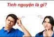 tinh nguyen la gi